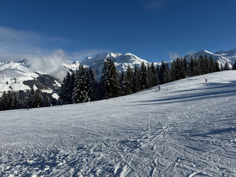 Schweizer Ski- und Snowboardschule Lenk-Lenk im Simmental必去景点