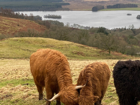 Nether Glenny Farm - Coos and Views-斯特灵必去景点