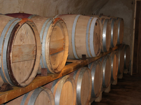 Logis Hôtellerie du Domaine de Cabasse主图