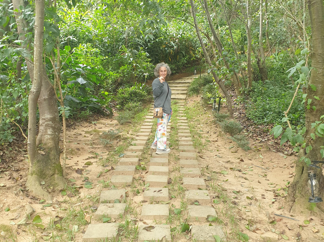 鲁洪多岛静居