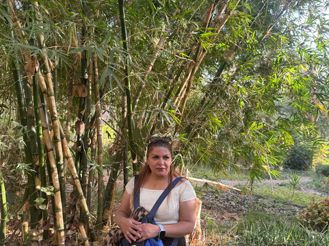 Yup Africano-哈伊马角必去景点