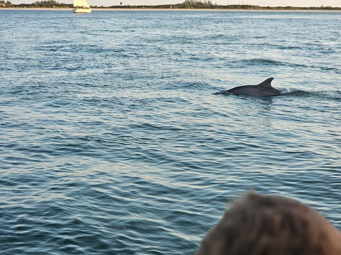 Marine13-特雷热岛必去景点