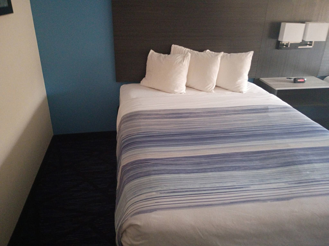 昆西温德姆美吟温德姆酒店主图