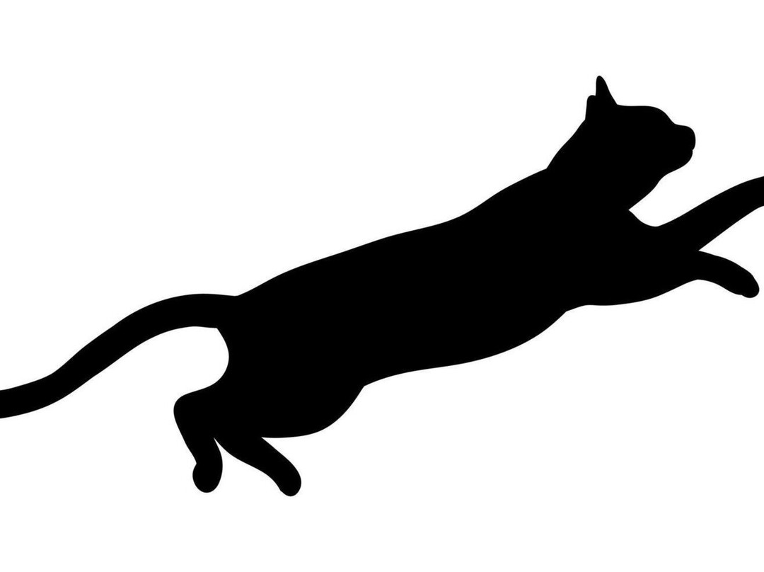 Mandy's Walking Tours-华沙必去景点