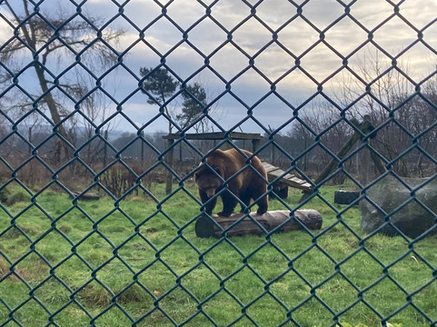 The Scottish Deer Centre-库珀必去景点
