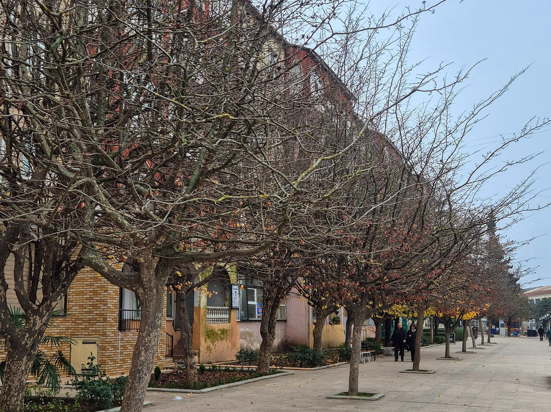 Gala Avenue-连科兰必去景点