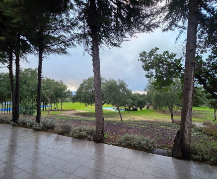 罗斯曼尼奥酒店主图