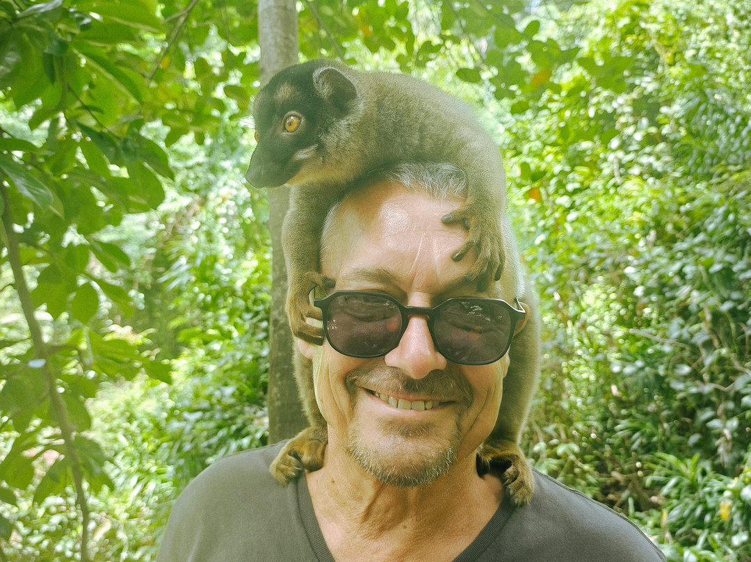 Masova Tour Mada-Madirokely必去景点