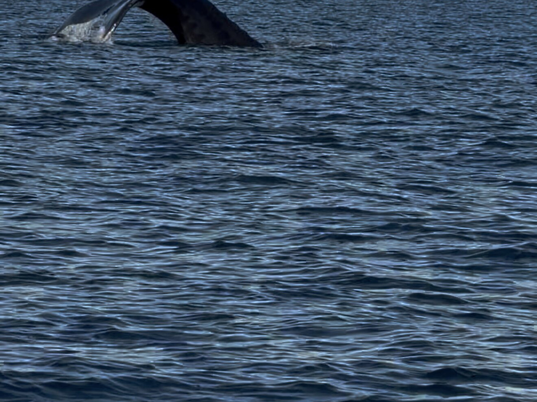 Costa Rica Xploring Tours-Gulf of Papagayo必去景点