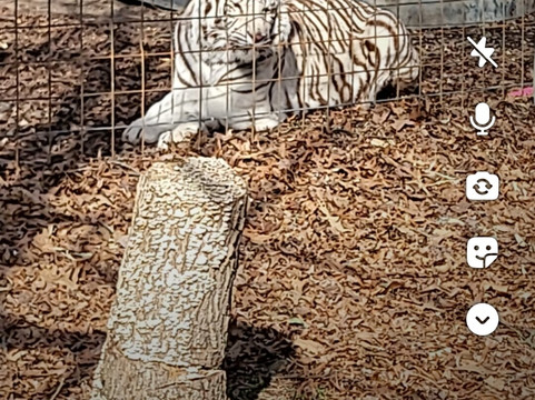 Animal Park NC-伯灵顿必去景点