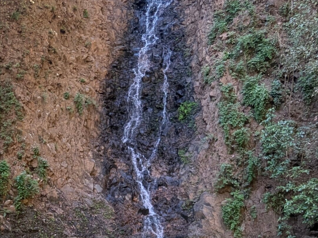 Mystic Embrace-Chacala必去景点