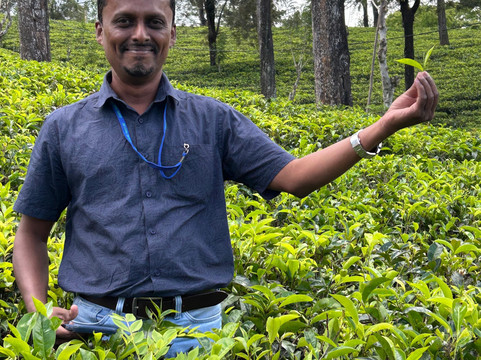 Kura Tours-Horana必去景点