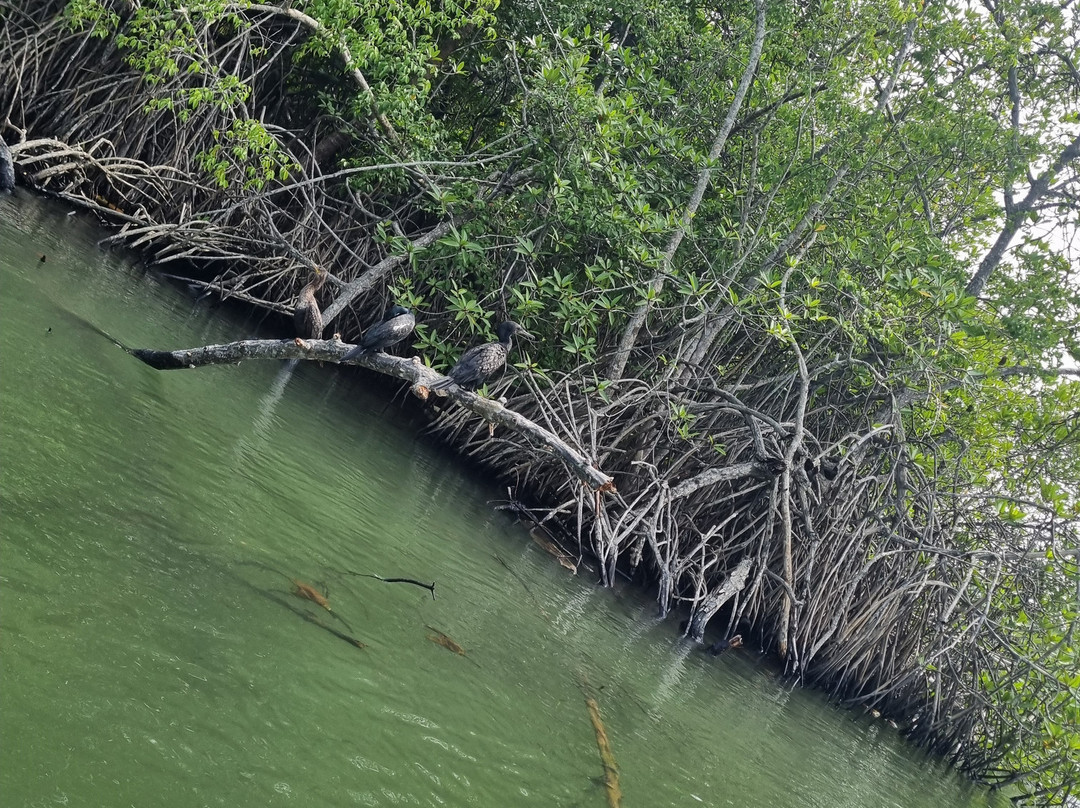 sri lanka tour with chathu-班托塔必去景点