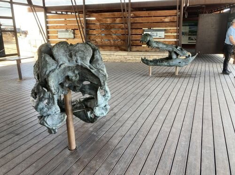 Big Bend National Park - Fossil Bone Exhibit-大弯国家公园必去景点