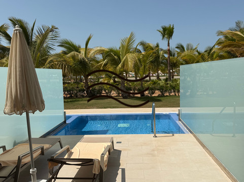 丽笙宫殿酒店博阿维斯塔 - 全包主图