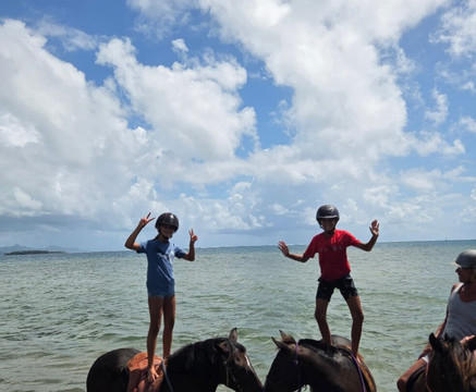 Cadichon Vallee-Uturoa必去景点
