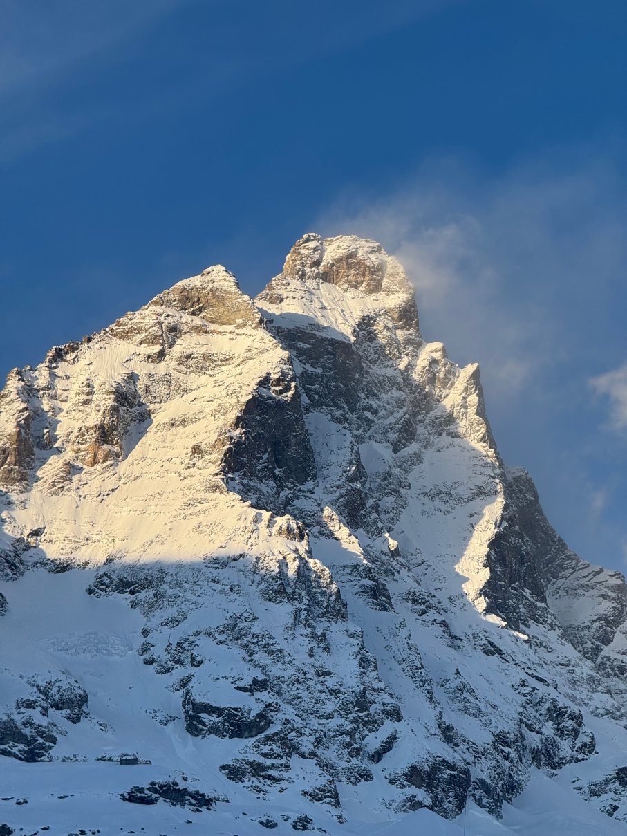 蒙里维酒店-官方