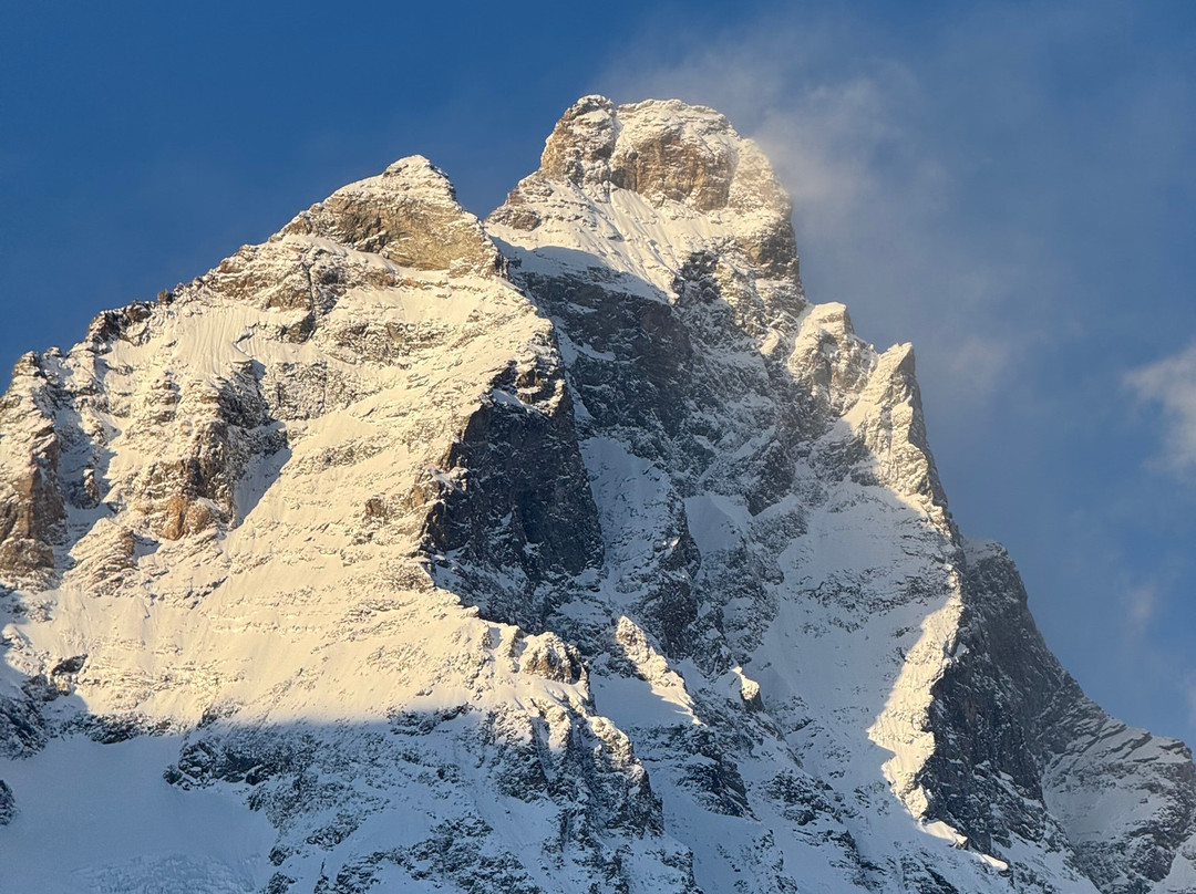 蒙里维酒店主图