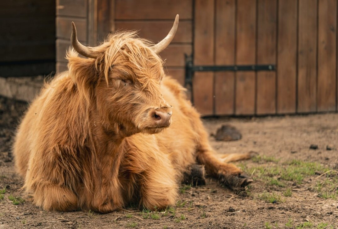 Podlaska Toskania-Suwalki必去景点
