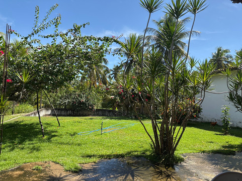 Restaurante Nisia Floresta Camarao Do Arnaldo