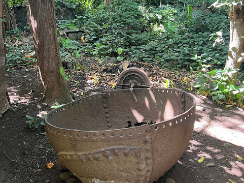 Le Vieux Domaine-Ravine des Cabris必去景点