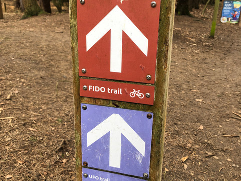 Rendlesham Forest Centre-Woodbridge必去景点