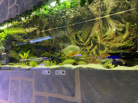 Bay Garden Centre & Aquatics