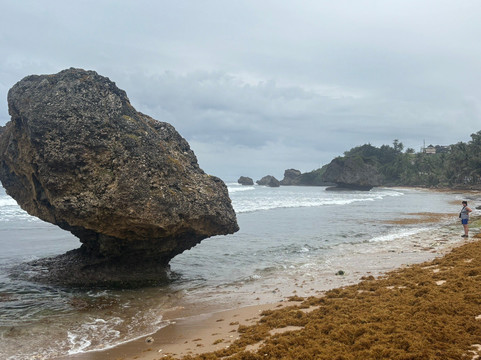 Bathsheba Beach-Bathsheba必去景点