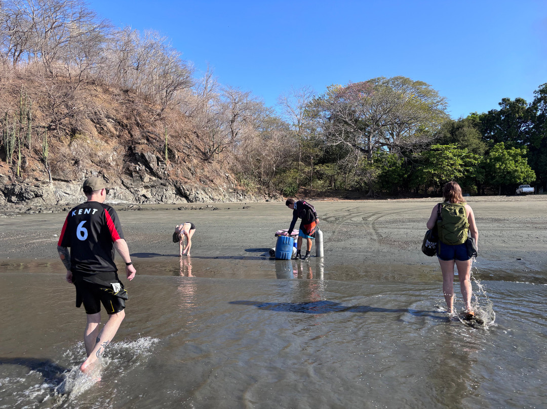 Submersea Diving - Dive Center-波特雷罗必去景点