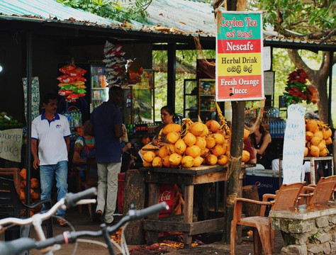 Ceylon Escapes-科伦坡必去景点