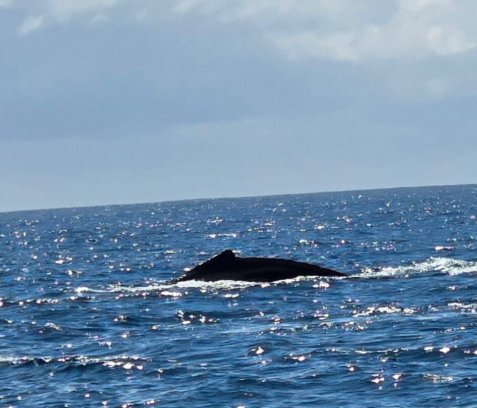 纳帕利冒险之旅-科卡哈必去景点