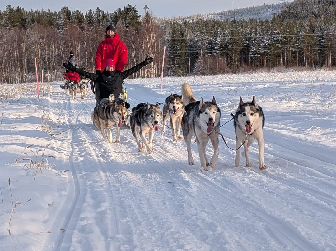 Aurora Borealis Adventures-Vindeln必去景点