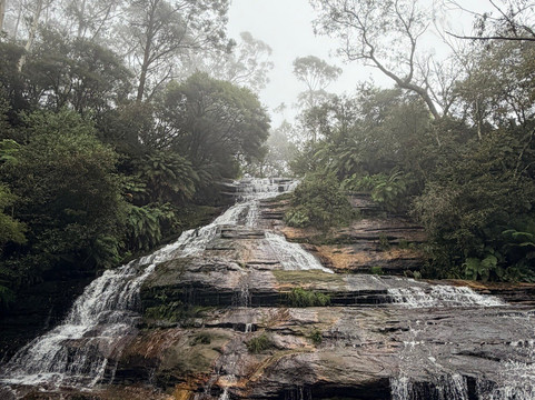 Blue Mountains Tours-格兰布鲁克必去景点
