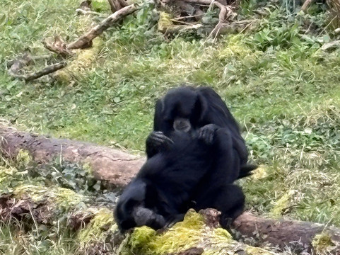 Manor Wildlife Park-St. Florence必去景点