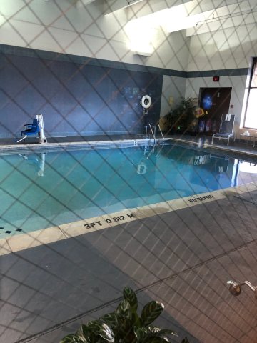 兰辛希尔顿逸林酒店-泳池