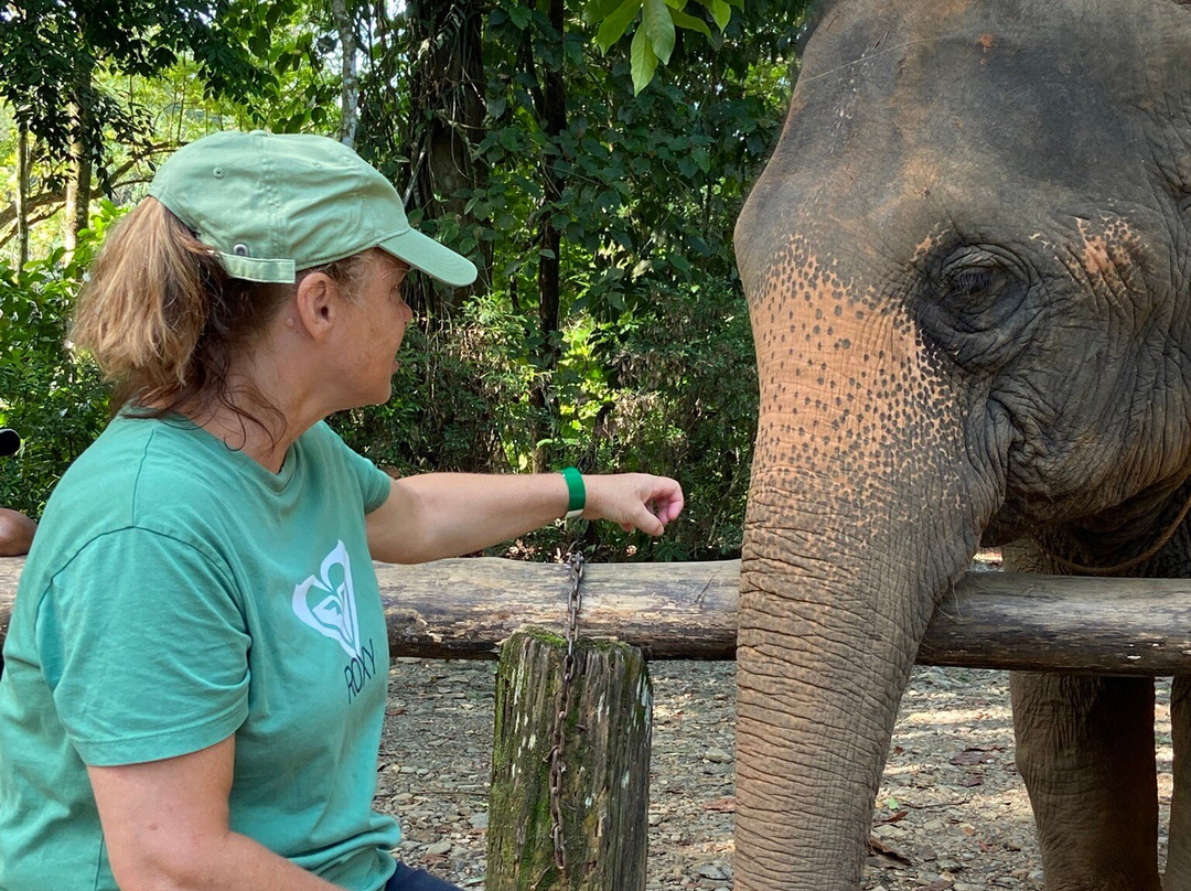 Phang Nga Elephant Park-攀牙必去景点