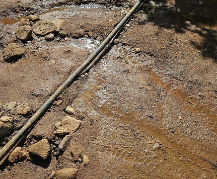 Mabalingwe Nature Reserve-贝拉贝拉必去景点