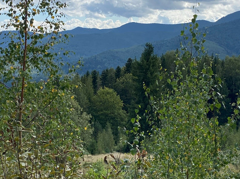 Carpathian National Nature Park-Yaremche必去景点