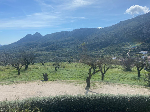 阿拉胡阿尔酒店主图