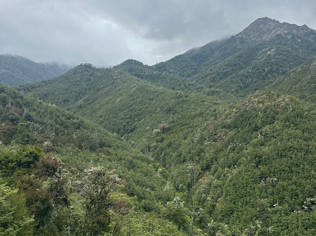 Island Hills Station-Culverden必去景点