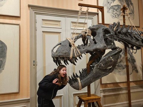 Art Zoo Museum-阿姆斯特丹必去景点