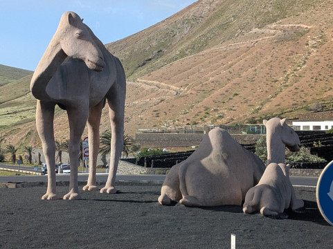 Rotonda De Los Camellos-Uga必去景点