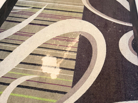 萨凡纳机场普勒拉昆塔温德姆套房酒店主图