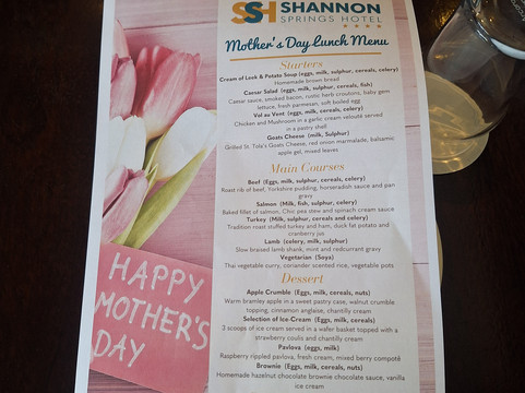 香农温泉酒店主图