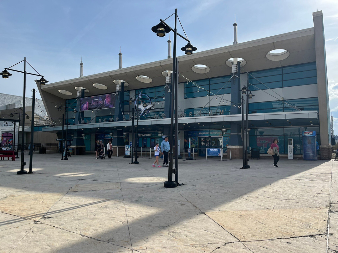 Newport Aquarium-Newport必去景点