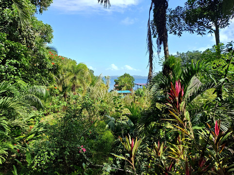 海豚湾秘境民宿主图