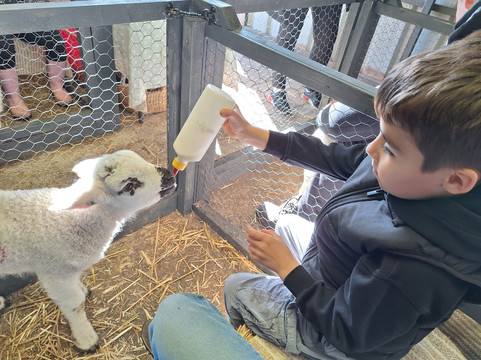 Church Farm Ardeley-斯蒂夫尼奇必去景点