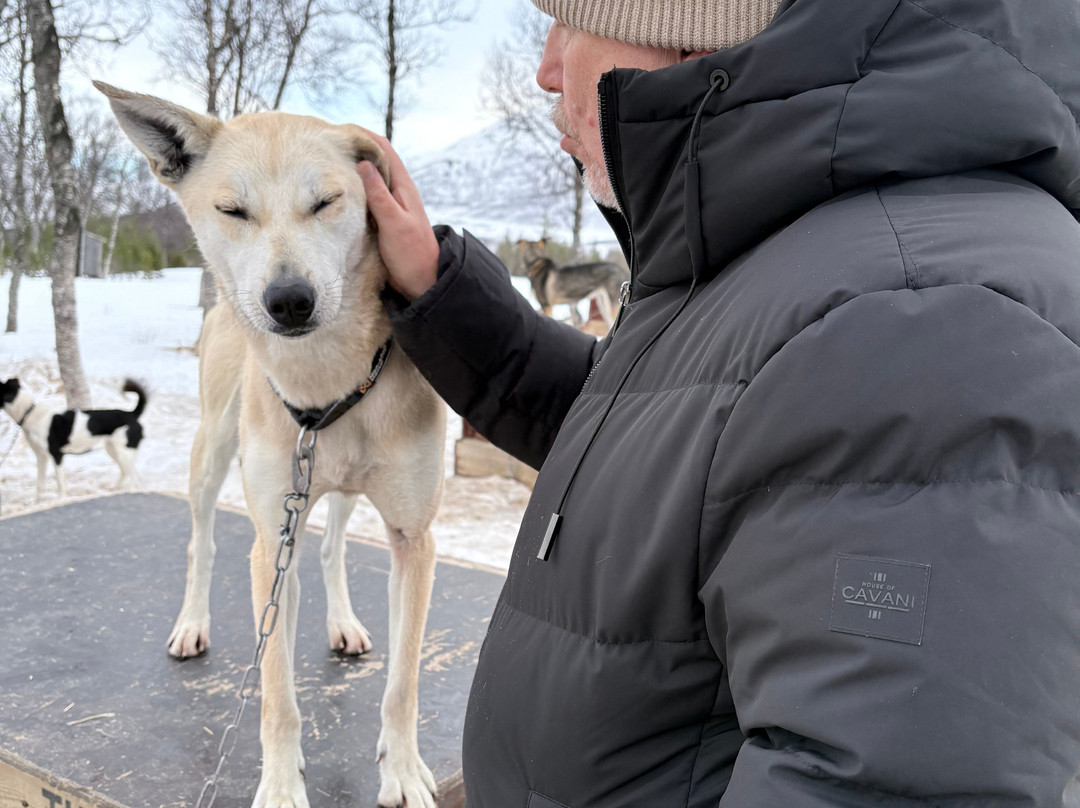 Aurora Alps-特罗姆瑟必去景点