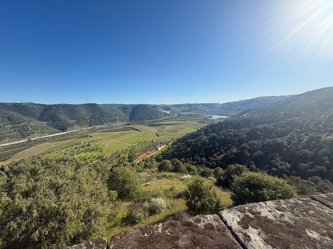 Quinta do Vale Meao-Vila Nova de Foz Coa必去景点