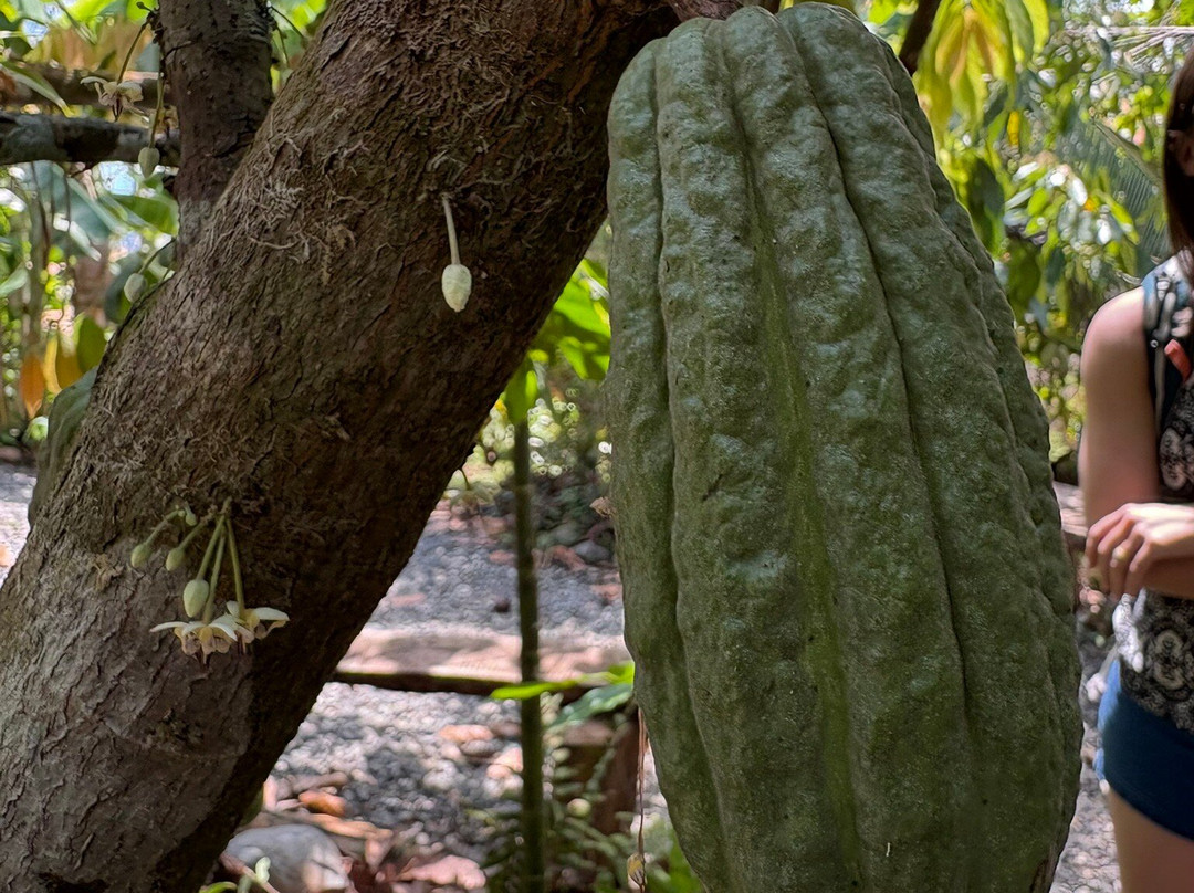 La Iguana Chocolate-Santiago de Puriscal必去景点